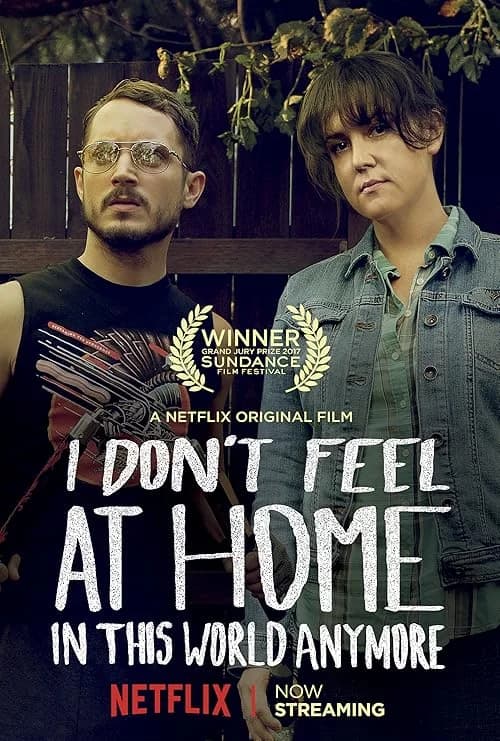 I Don't Feel at Home in This World Anymore film posteri