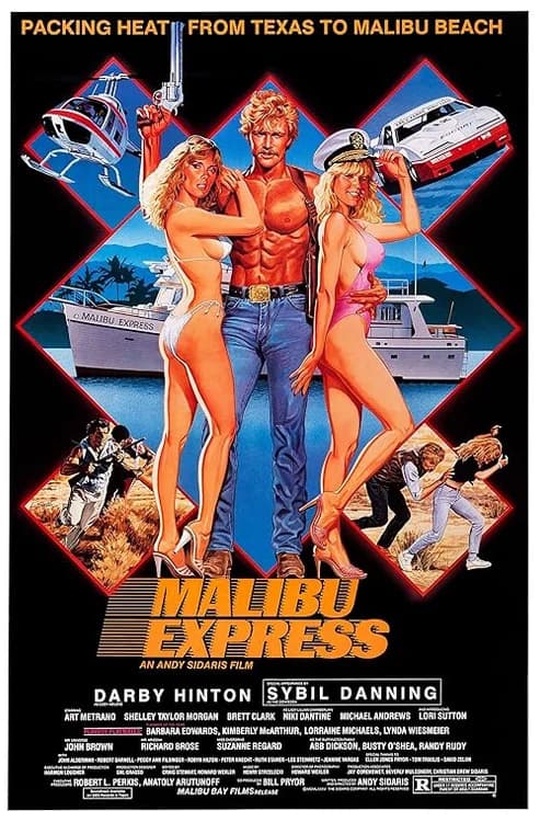 Malibu Express film posteri